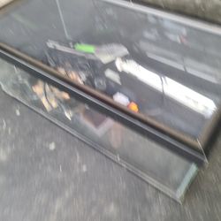 10 Gallon Reptile Aquarium 