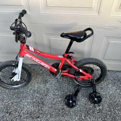 Schwinn Koen 14