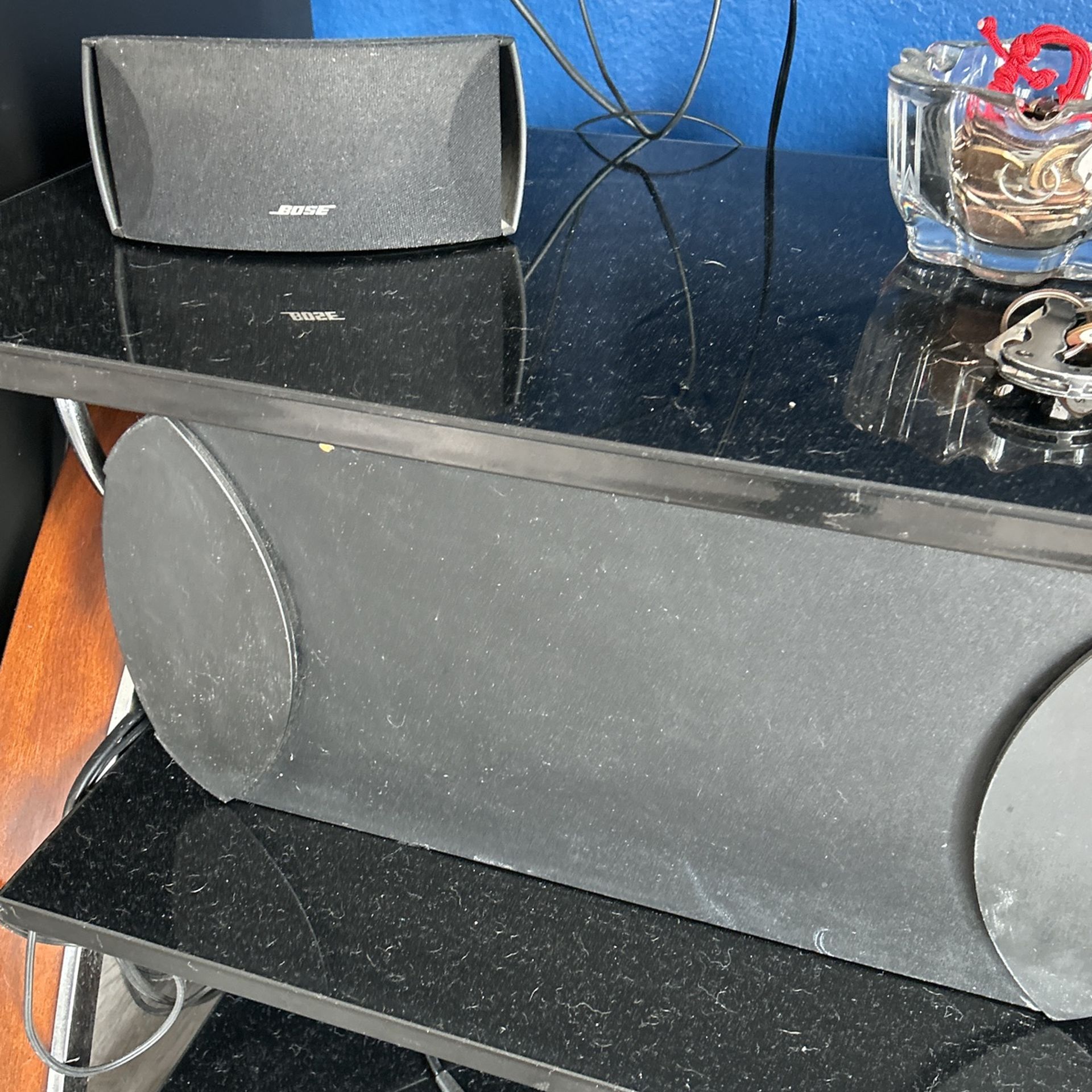 Bose Theater Speaker System
