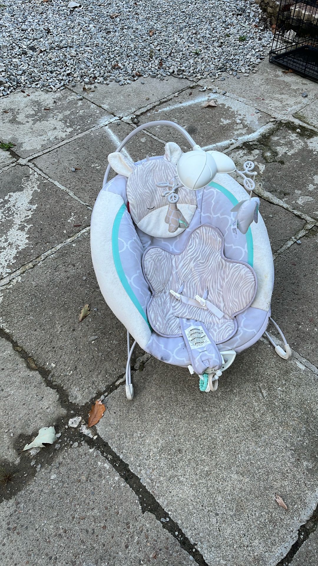 Baby Swing