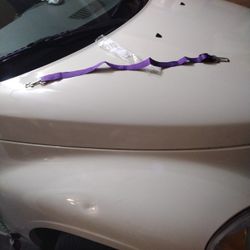 Doggy Car Seat Restrainer Goes Around There Headrest Brand New