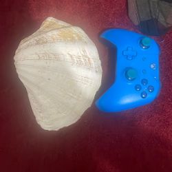 Clam Shell