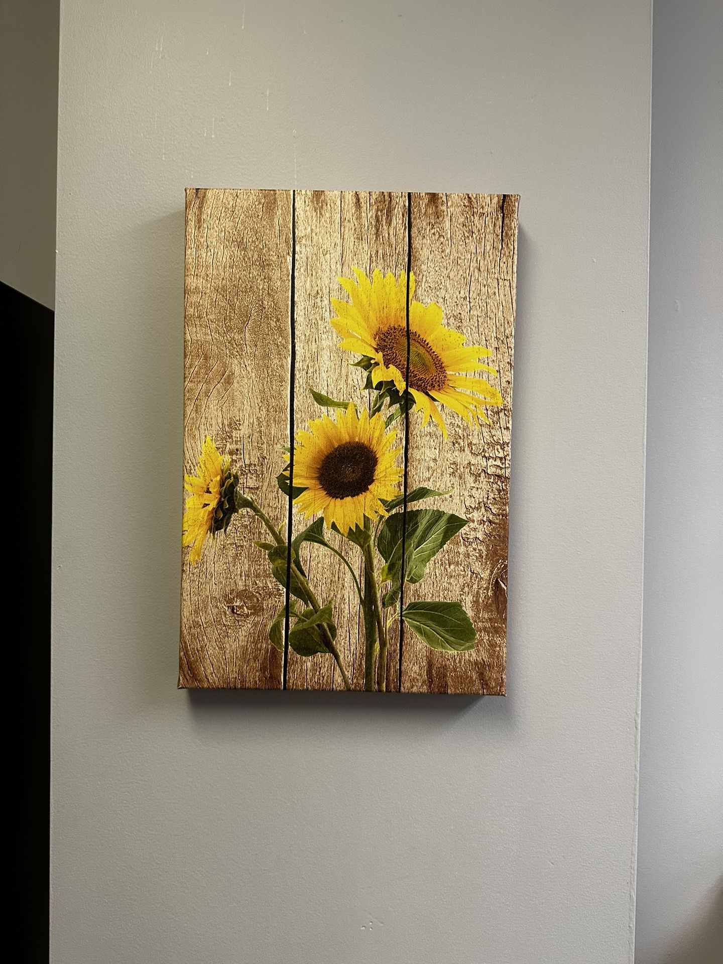 Paintings