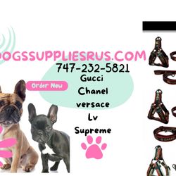 We Are In College park Today