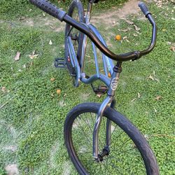 Beach Cruiser