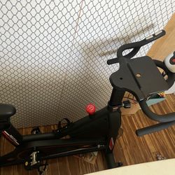 DMASUN Exercise Bike