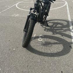 Beecool Bike 