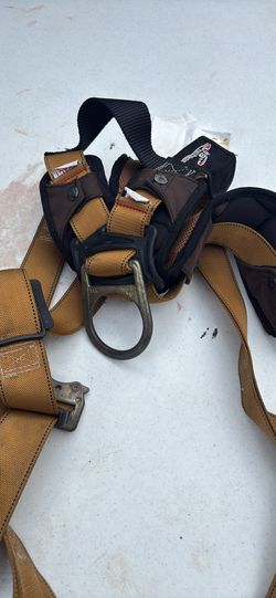Harness Xl Cash Only
