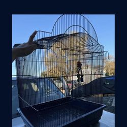 Large Bird Cage
