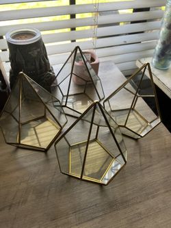 Terrarium Pieces Decor
