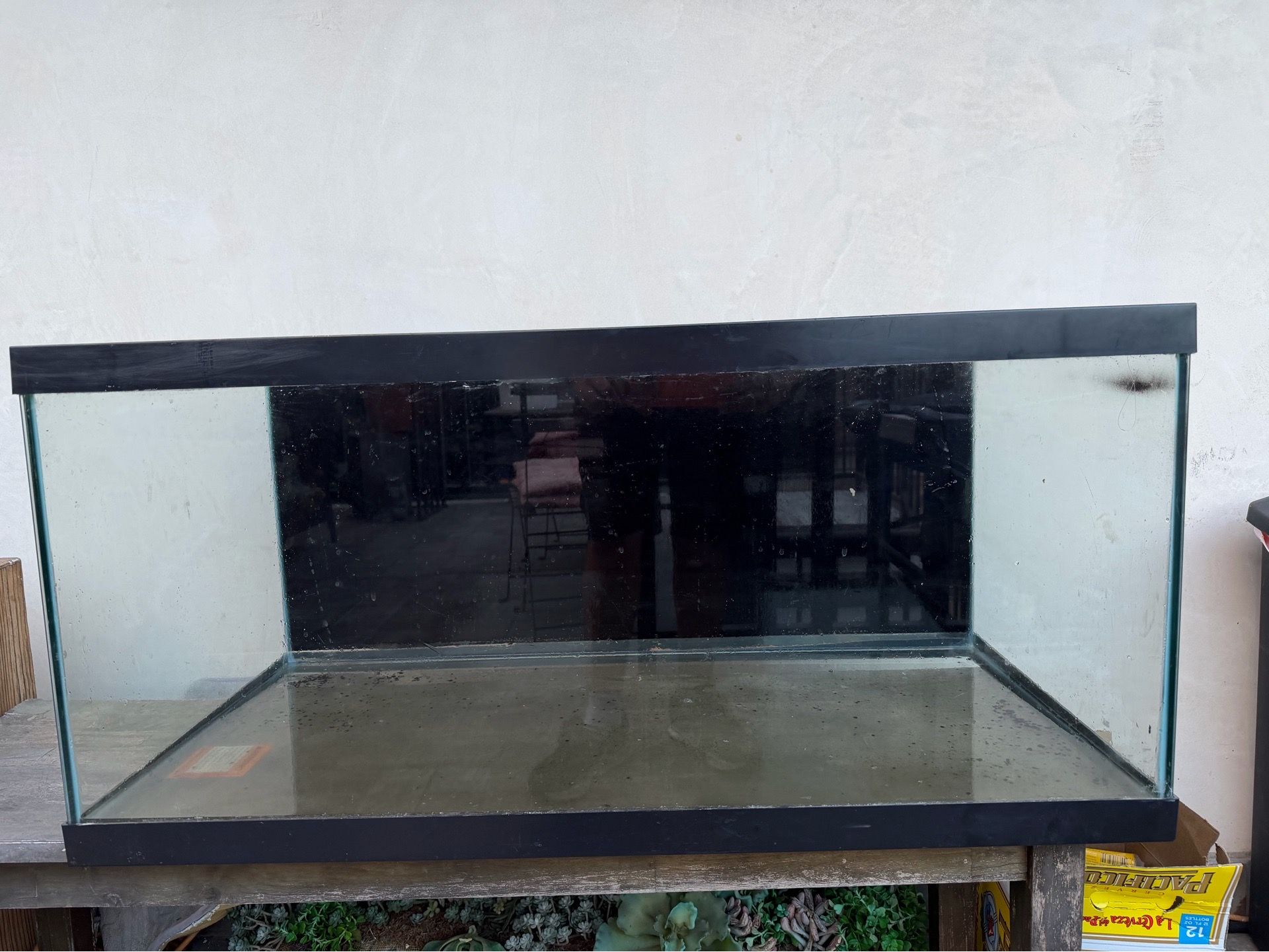 40 gallon fish tank