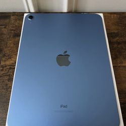 Blue iPad 10th Generation 