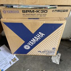 Yamaha Soundbar Mount And Speakers