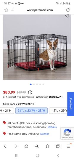 Kong Dog Crate