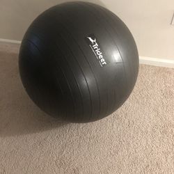 Trideer Exercise Ball