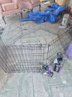 Dog items