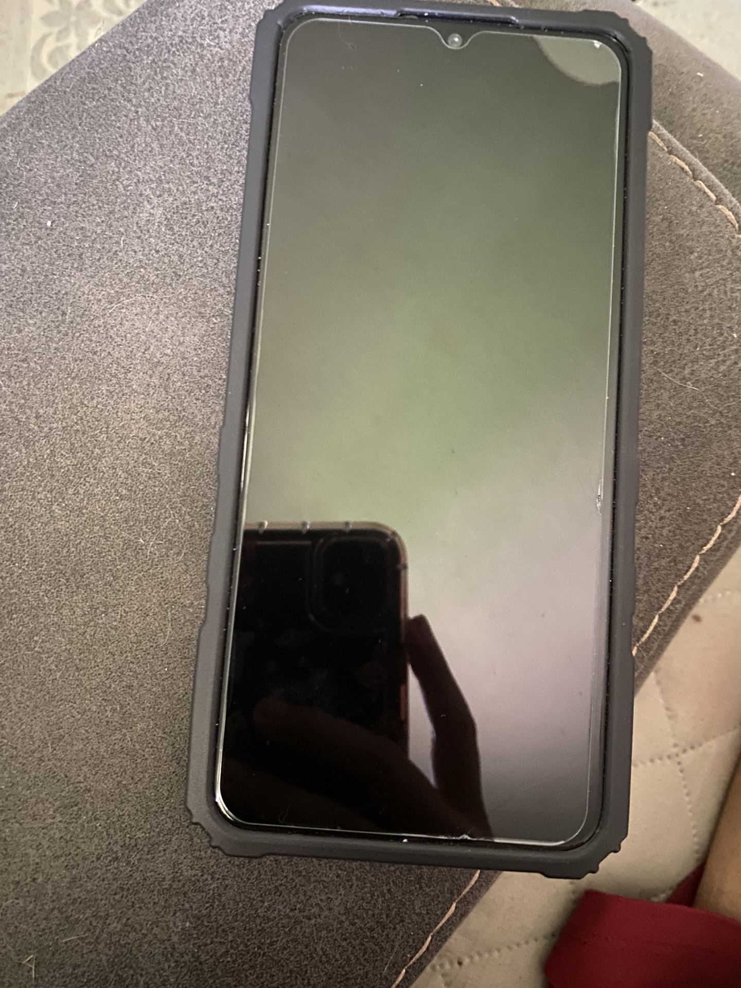 government phone