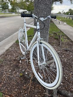 Fixie bike