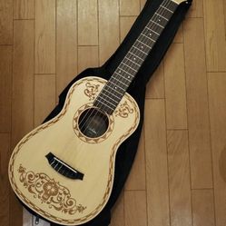 Cordoba Coco Guitar 