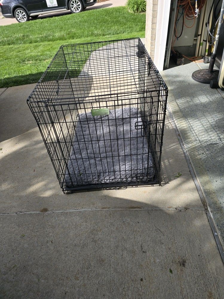 Dog Cage 