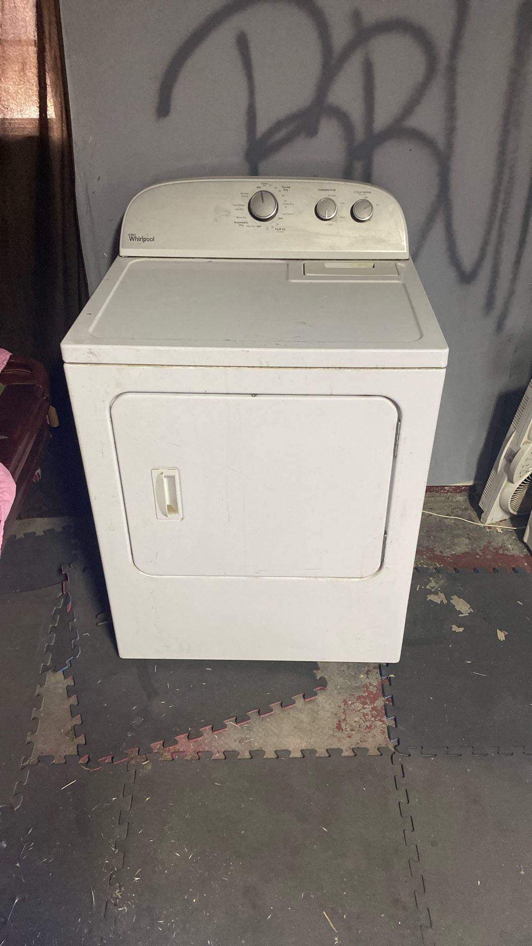 Electric Dryer 