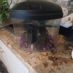 Small Fish Tank