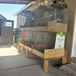 Bird Cages (kikiriks)