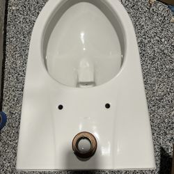 Wall Mounted Toilet Bowl