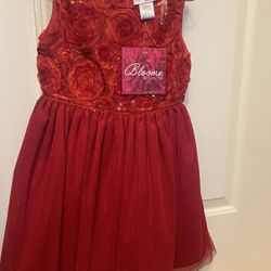 Dress,size 6