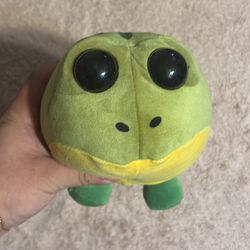 Weird Green Frog Plushie 
