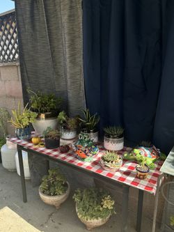 selling plants