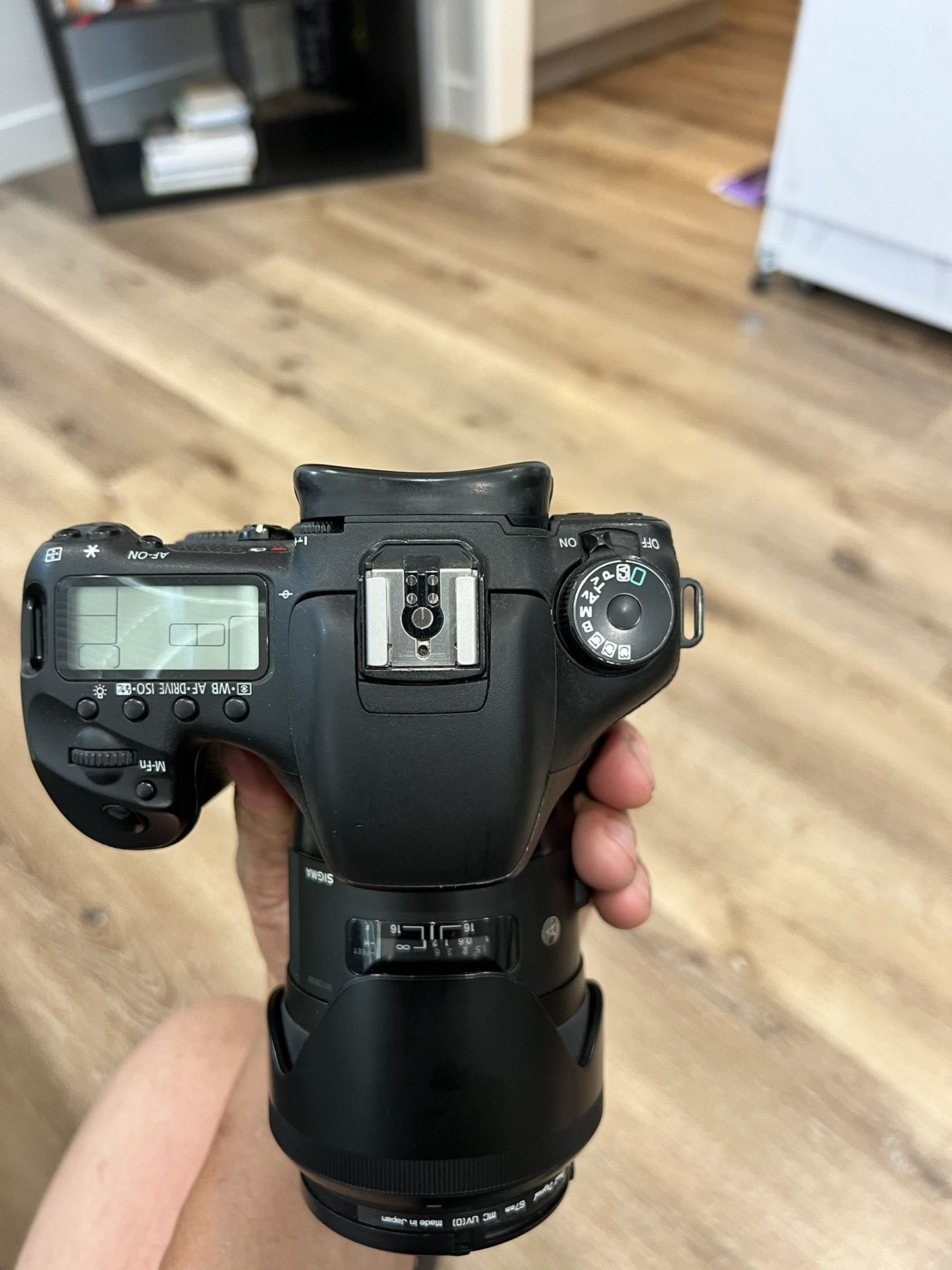 Canon Camera With Sigma Lens