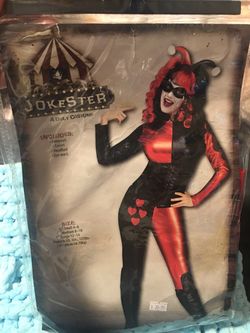 Jokester Halloween Costume