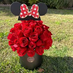 Minnie Mouse Roses