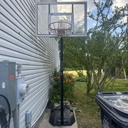 Lifetime Portable Adjustable Basketball Hoop