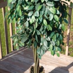 Artificial Ficus Tree in Woven Basket – Decorative Faux Plant with Realistic Green Leaves