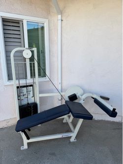 Cybex - Leg Curl