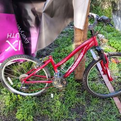 Marin Bike 24 Inch Tire 