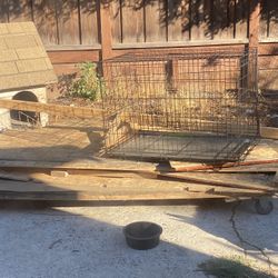 Dog House 