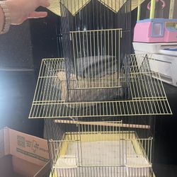 New Bird Cage