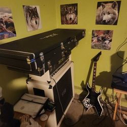 GUITAR CASE ONLY 