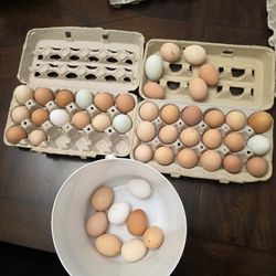 Fresh Farm Eggs