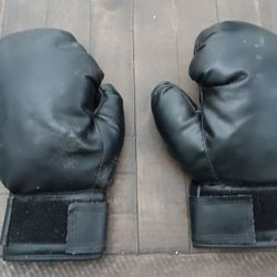 Boxing Gloves For Sparring Sport Exercise 