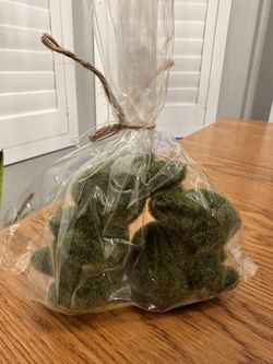 $3 - Festive little set of 2 moss bunnies. Great for Easter or spring decor. Still in original packaging, has tag. Indoor use only.  Please pickup in 