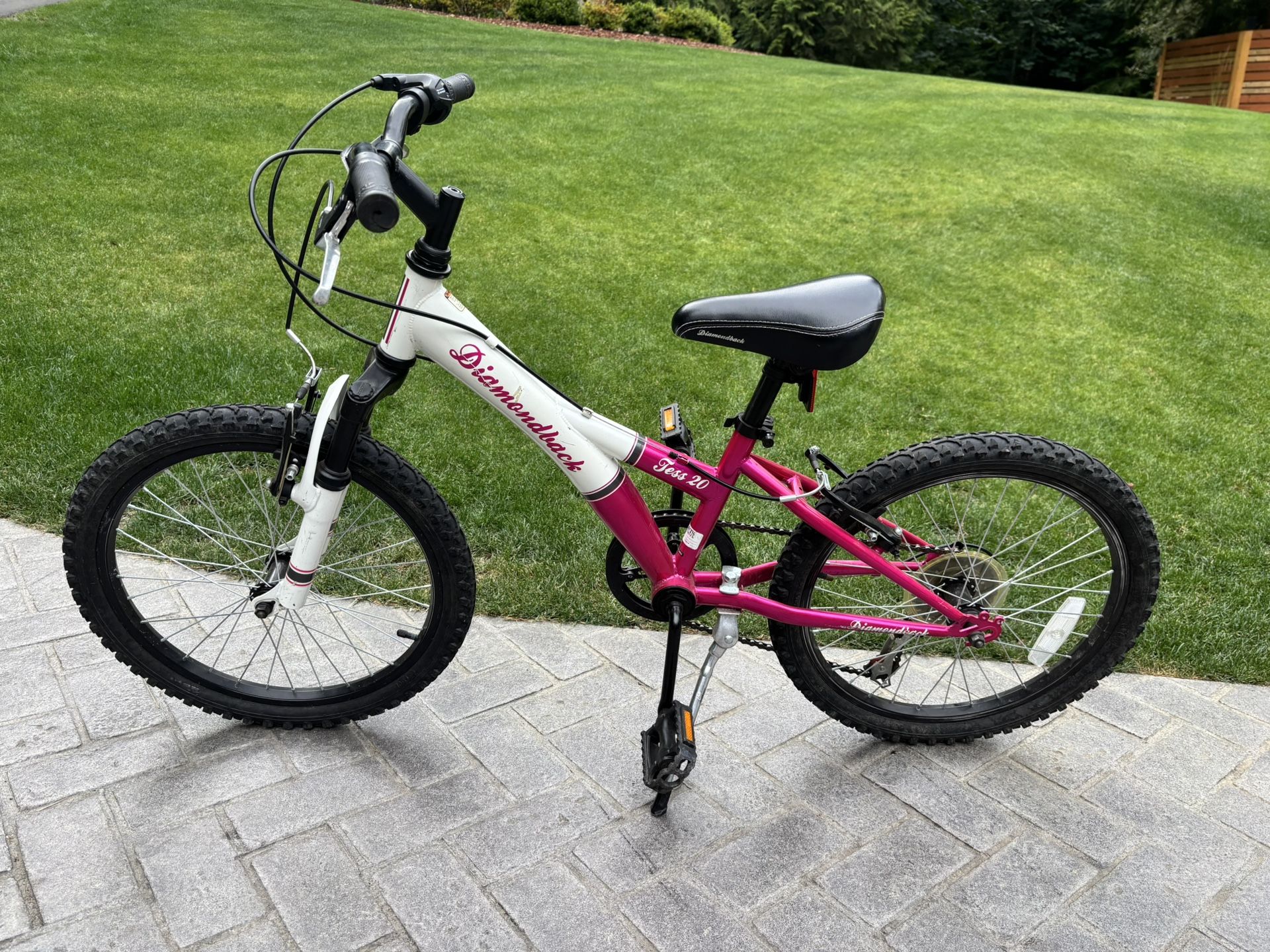 Tess 20 Diamond Back Bike 