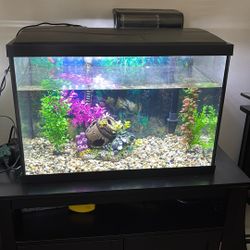 20 Gallon Fish tank.