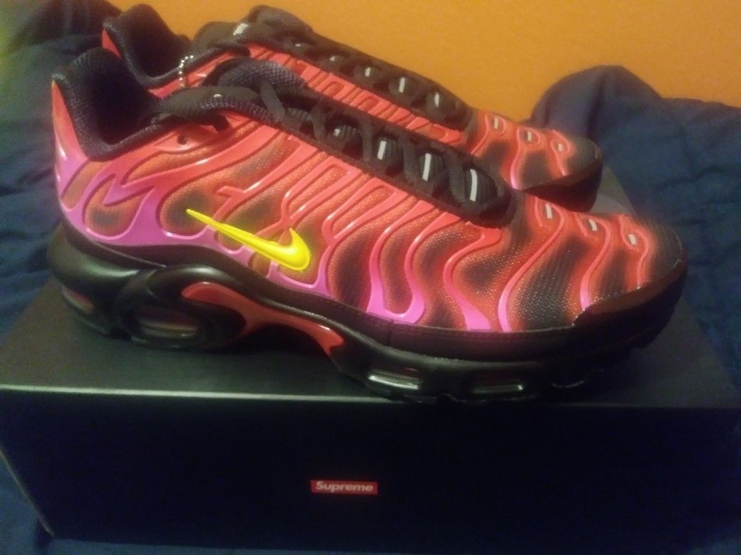 Supreme Nike Air Max Plus Size 10