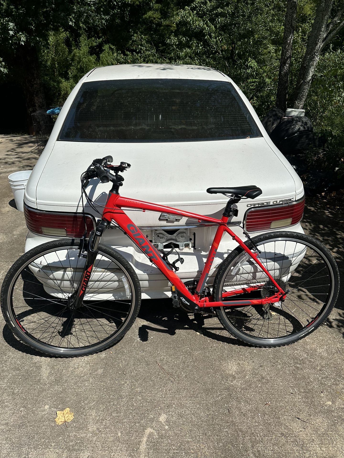 Gaint Roam 3 Bike