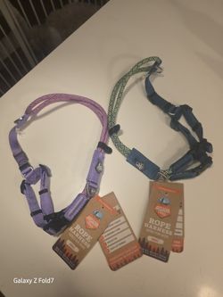 Arcadia Trail Lightweight Maximum Mobility Rope Dog Harness Orange Blue SMALL