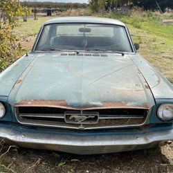 1965 Ford Mustang